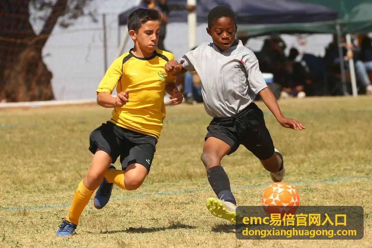 emc易倍官网入口行业观察资讯分类展示